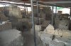 Photo 012